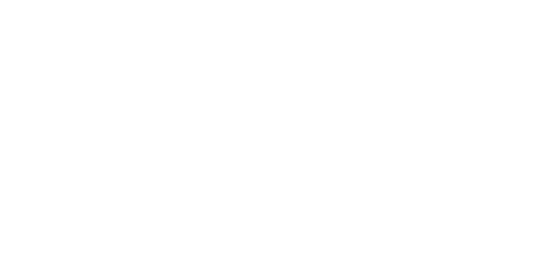 Wonder Logo